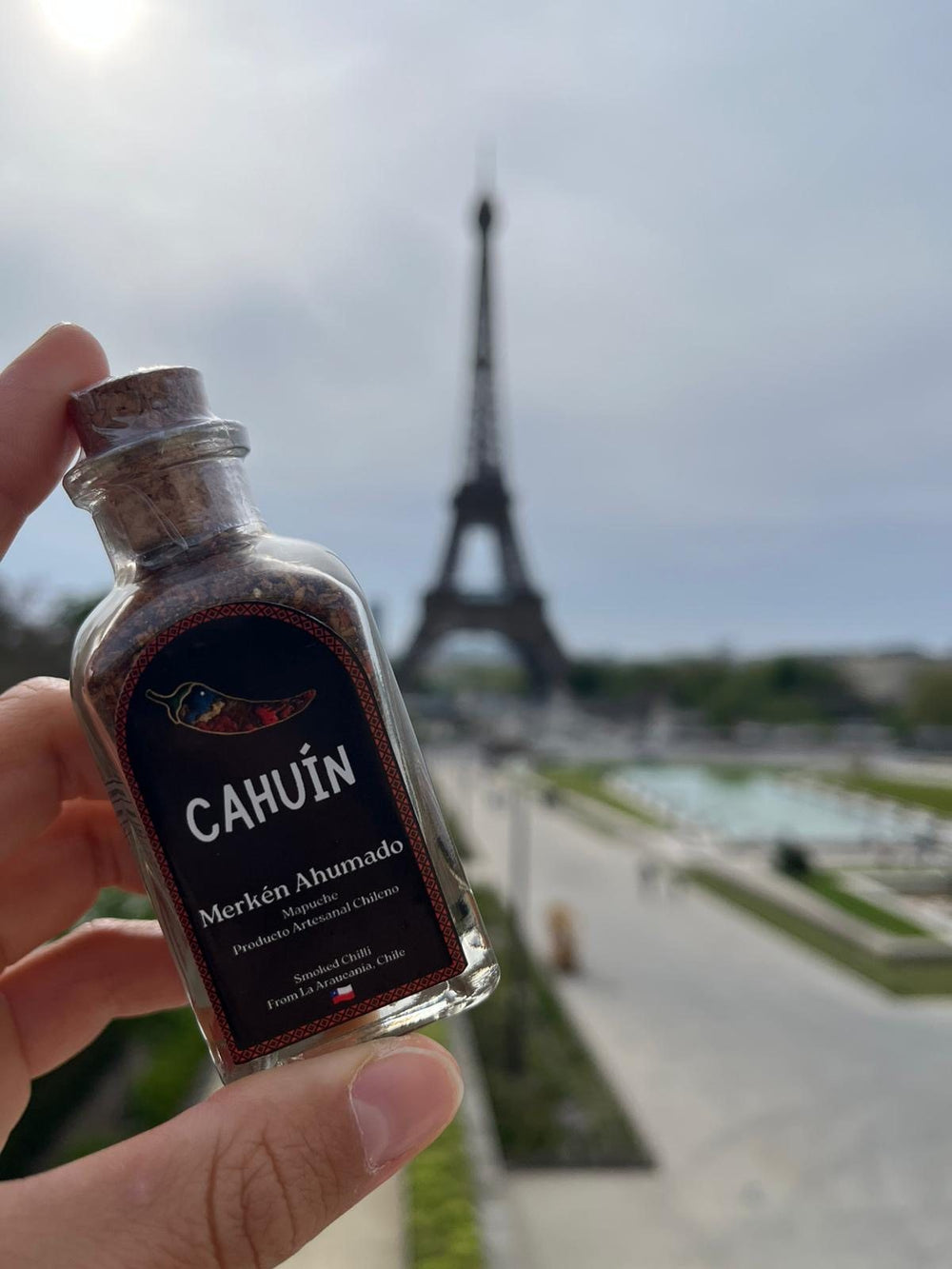 Una botella de MERKÉN CAHUÍN en la mano frente a la Torre Eiffel